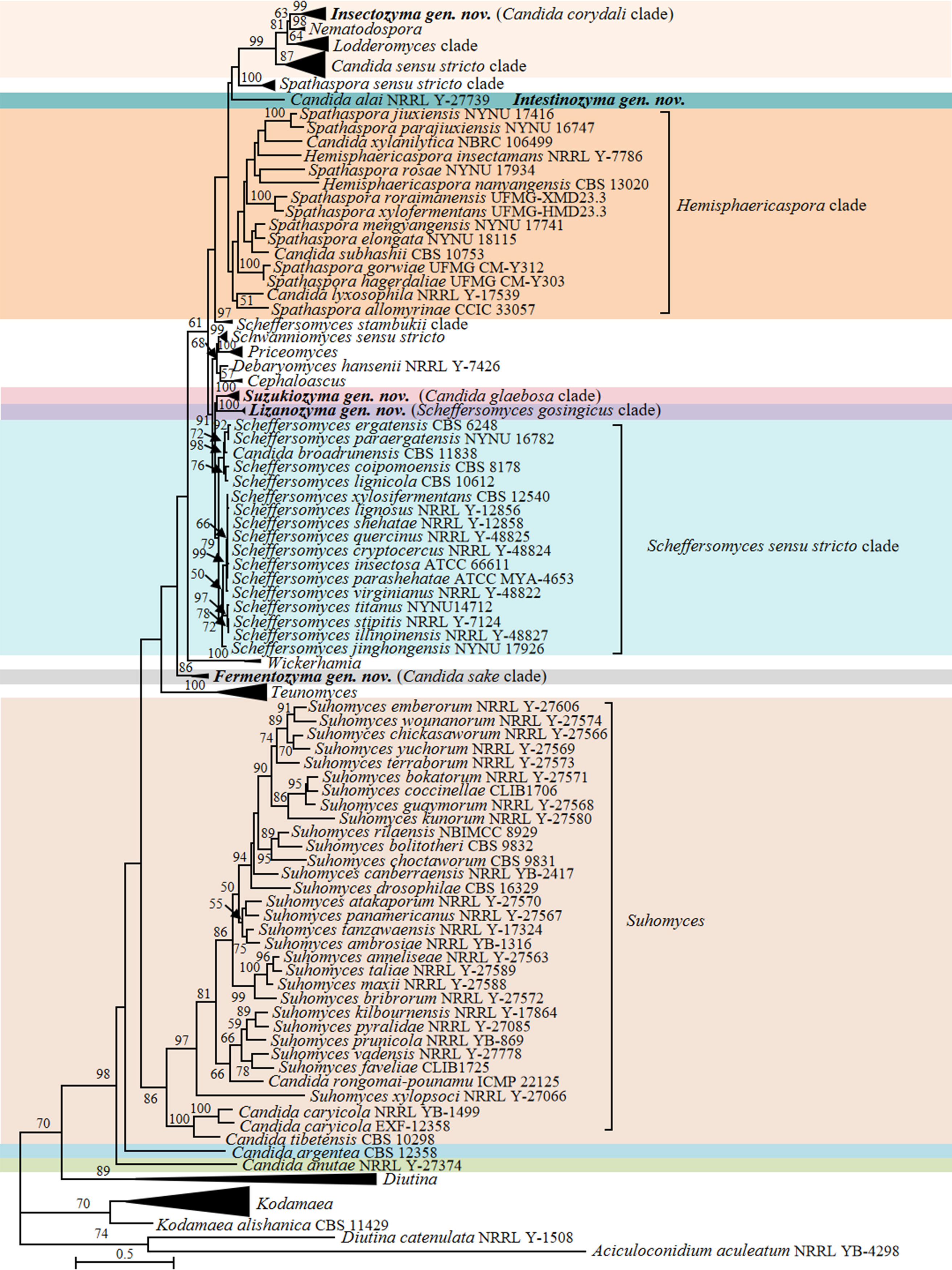 Figure 11